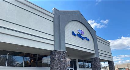 the village vets stone mountain|Veterinarians and Animal Hospital in Decatur, GA .